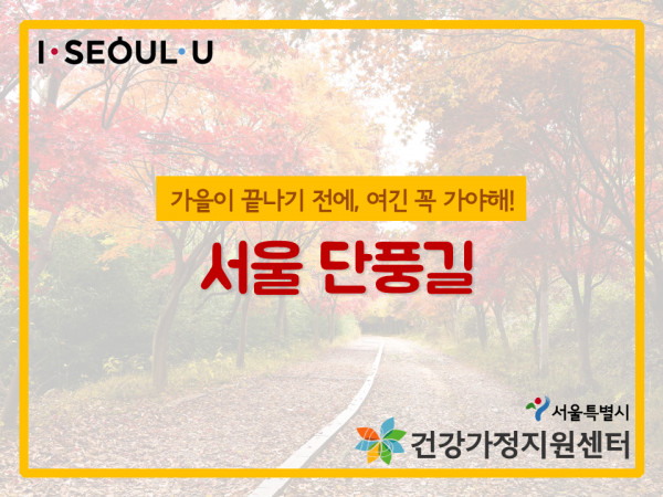가을이 끝나기 전에, 여긴 꼭 가야해! 서울 단풍길 관련 이미지