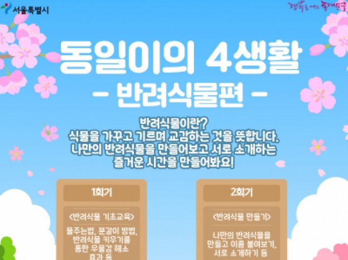 [동대문구] 동일이의 4생활(반려식물편) 참여자 모집