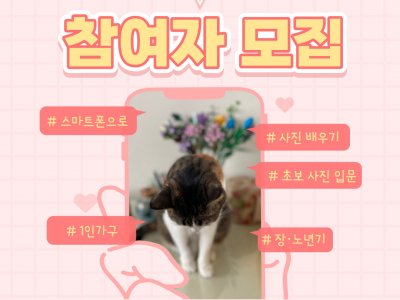 [종로구] 장·노년기 1인가구 자기효능감 향상 프로그램 '스마트 라이프: 사진' 이미지