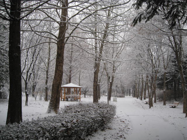 양재 시민의 숲 겨울 풍경